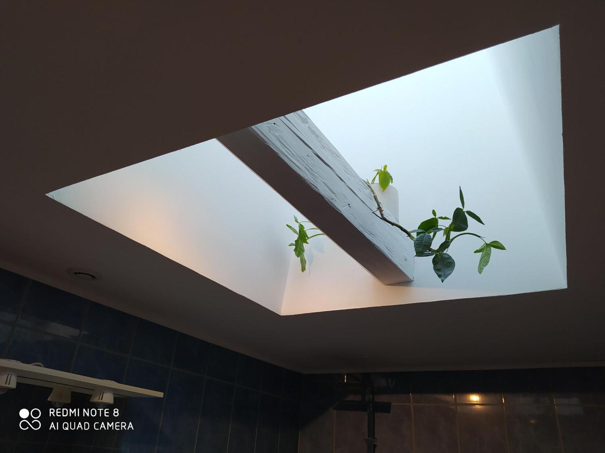 Gite Calme 4 Chambres, Terrasse Privative, Draps Inclus - Germonville - Fr-1-584-167 Екстер'єр фото